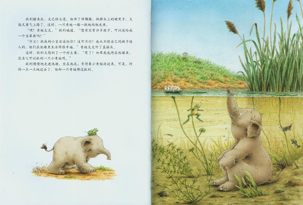 小象欧利找弟弟 (06),绘本,绘本故事,绘本阅读,故事书,童书,图画书,课外阅读